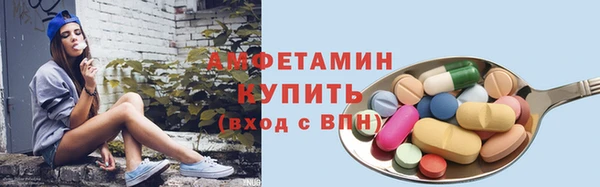 прущие грибы Козельск