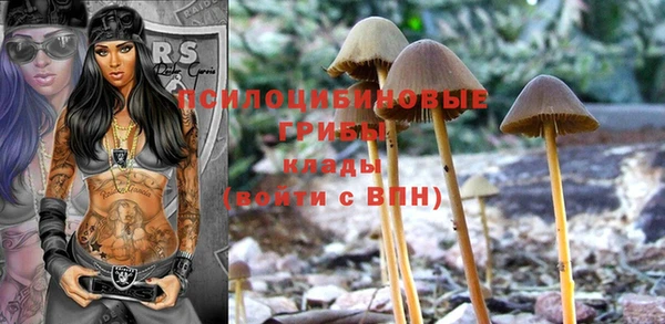 бутират Козловка