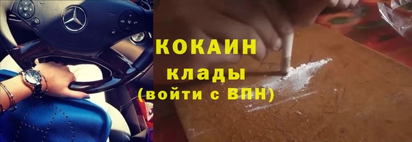 прущие грибы Козельск