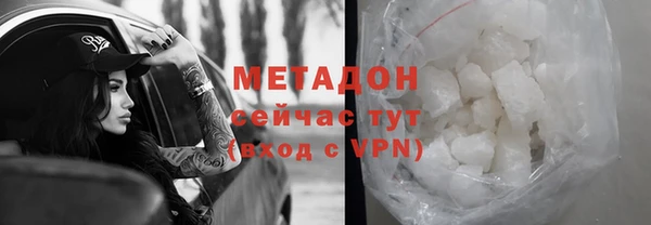 прущие грибы Козельск