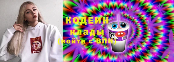 прущие грибы Козельск