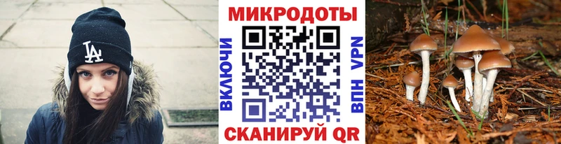 Псилоцибиновые грибы ЛСД блэк спрут вход Сердобск