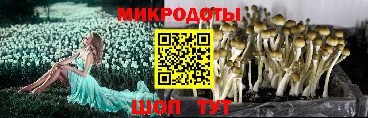 Псилоцибиновые грибы мухоморы  Вход с VPN  Сердобск  Галлюциногенные грибы Cubensis 